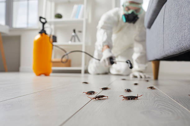 Commercial Kitchen Cockroach Control in Sleepy Hollow